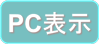 PC版表字